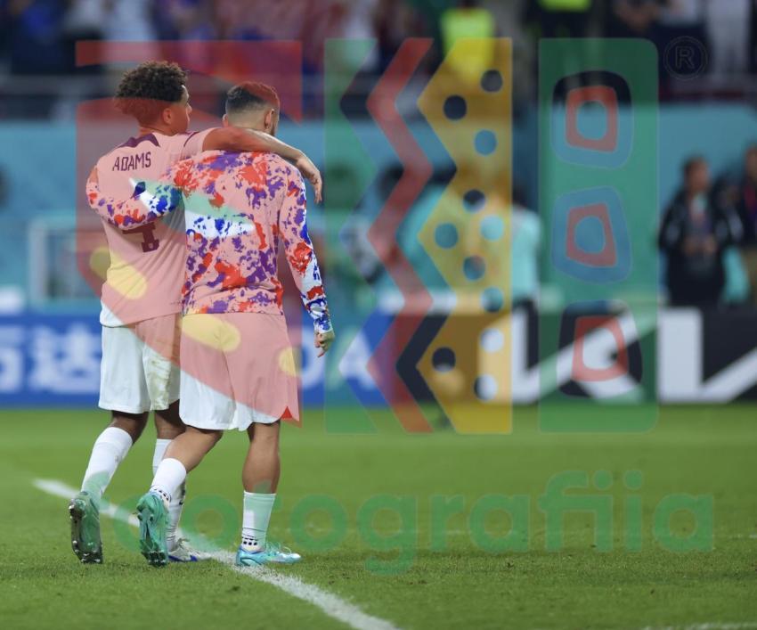 2022 FIFA World Cup - Netherlands vs USA
