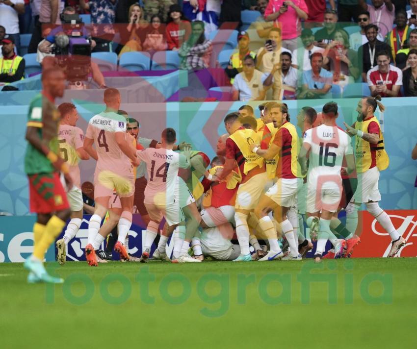2022 FIFA World Cup - Cameroon vs Serbia