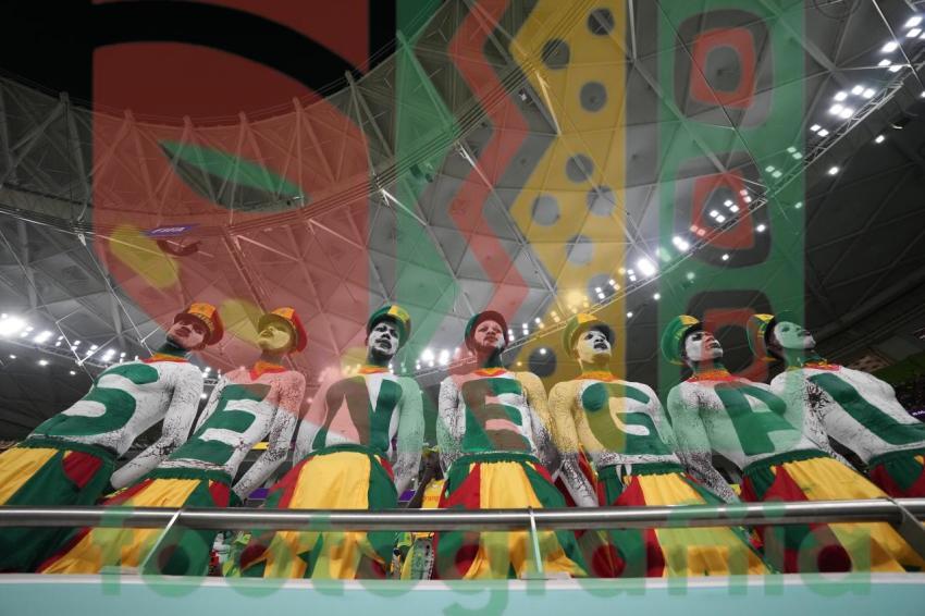 2022 FIFA World Cup - Senegal vs Netherlands