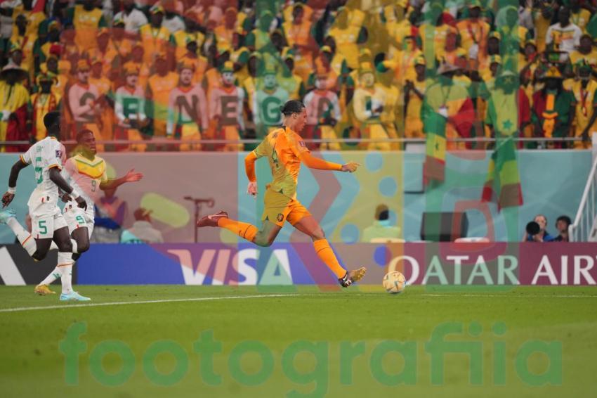 2022 FIFA World Cup - Senegal vs Netherlands