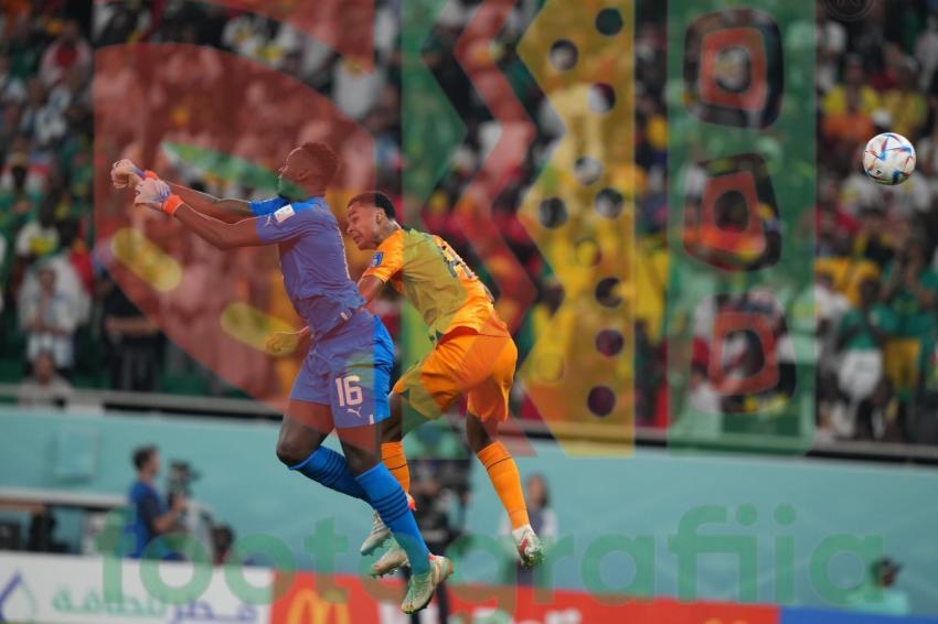 2022 FIFA World Cup - Senegal vs Netherlands