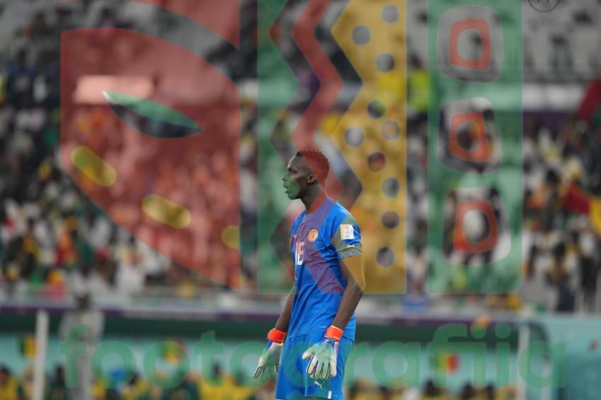 2022 FIFA World Cup - Senegal vs Netherlands