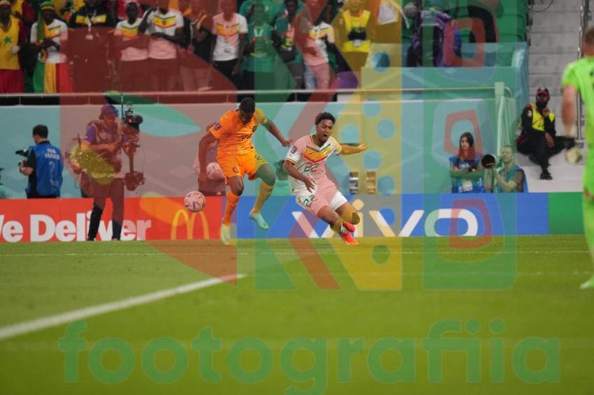 2022 FIFA World Cup - Senegal vs Netherlands