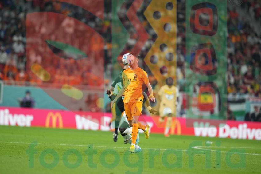 2022 FIFA World Cup - Senegal vs Netherlands