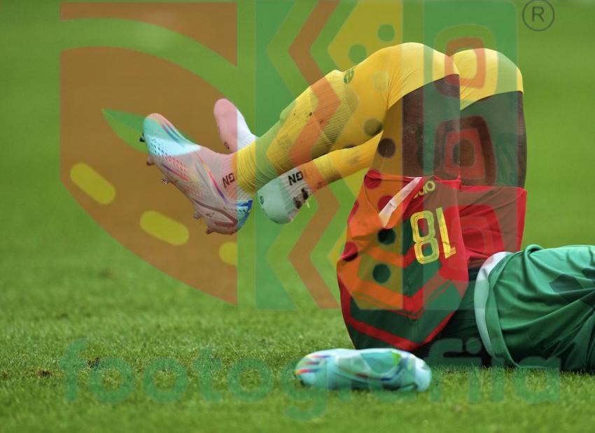 2022 FIFA World Cup - Cameroon vs Serbia