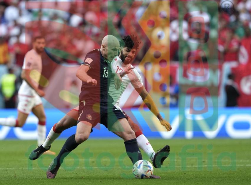 2022 FIFA World Cup - Tunisia vs Australia