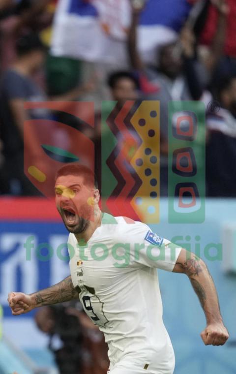 2022 FIFA World Cup - Cameroon vs Serbia