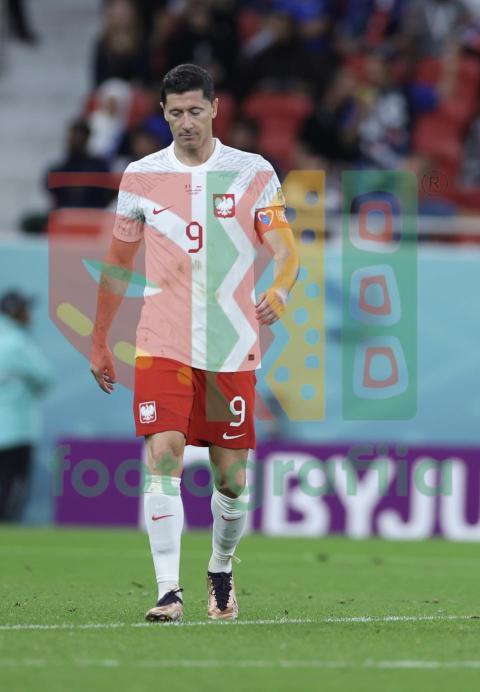2022 FIFA World Cup - France vs Poland