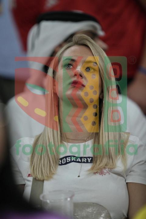 2022 FIFA World Cup - Wales vs England