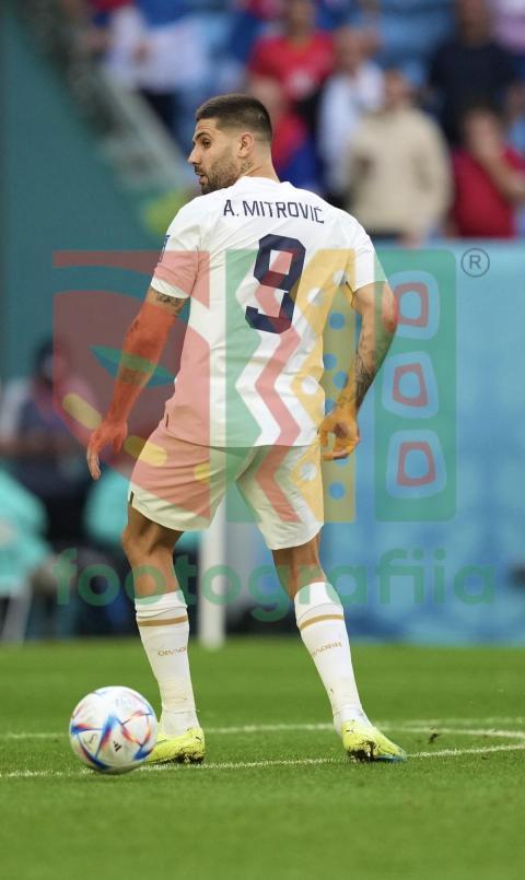 2022 FIFA World Cup - Cameroon vs Serbia