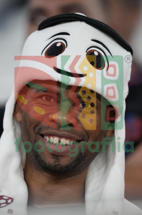 2022 FIFA World Cup - Senegal vs Netherlands