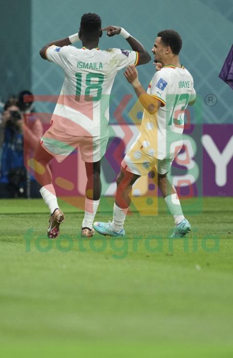 2022 FIFA World Cup - Senegal vs Ecuador